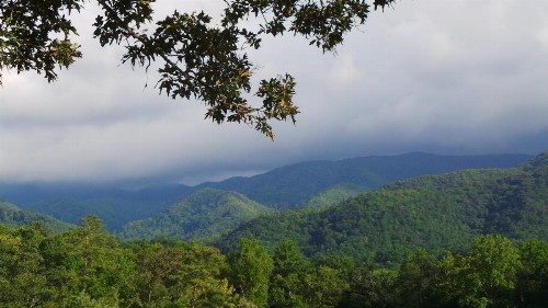 Smoky Mountain Majesty - image 11