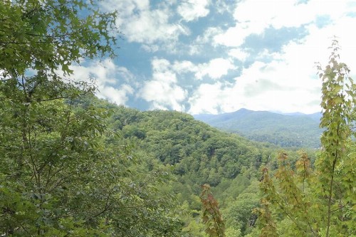 Smoky Mountain Majesty - image 24