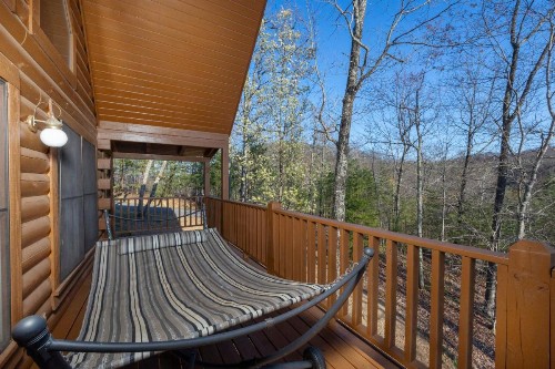 Smoky Mountain Majesty - image 35