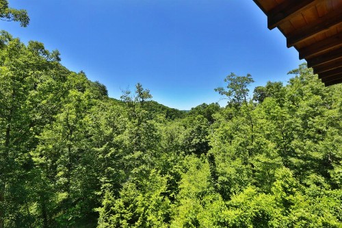 Fox Den - image 43
