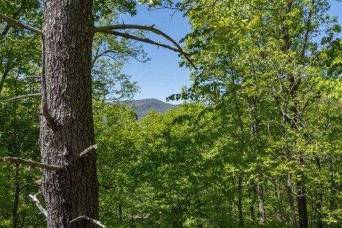 Stardust Mountain - image 38