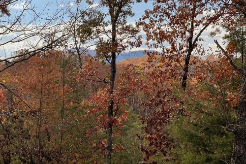 Mountain Dreams - image 28
