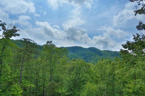 Southern Splendor - image 2