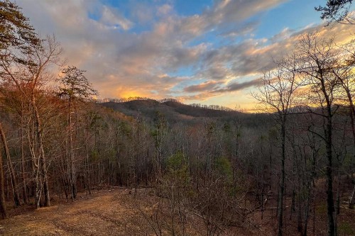 Southern Splendor - image 42