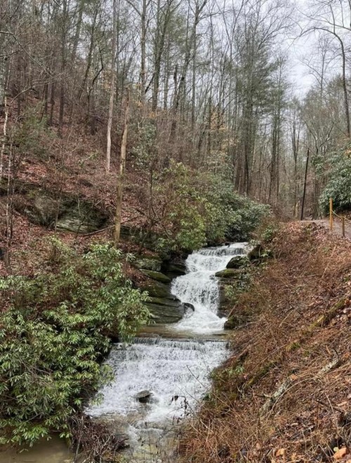 Horseshoe Hideaway - image 43
