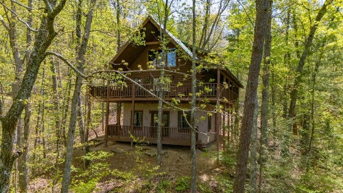Wild Laurel Retreat - image 1