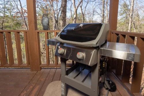 Wild Laurel Retreat - image 12
