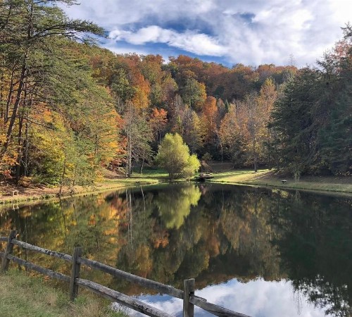 Wild Laurel Retreat - image 16