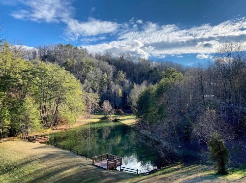 Wild Laurel Retreat - image 18