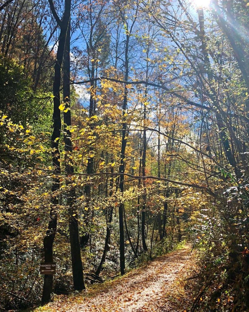 Wild Laurel Retreat - image 7