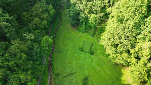 Bear Crossing - image 12