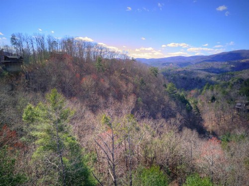 Stars Over The Smokies - image 43