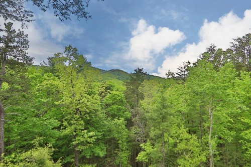Honey J's Mountain Retreat - image 11