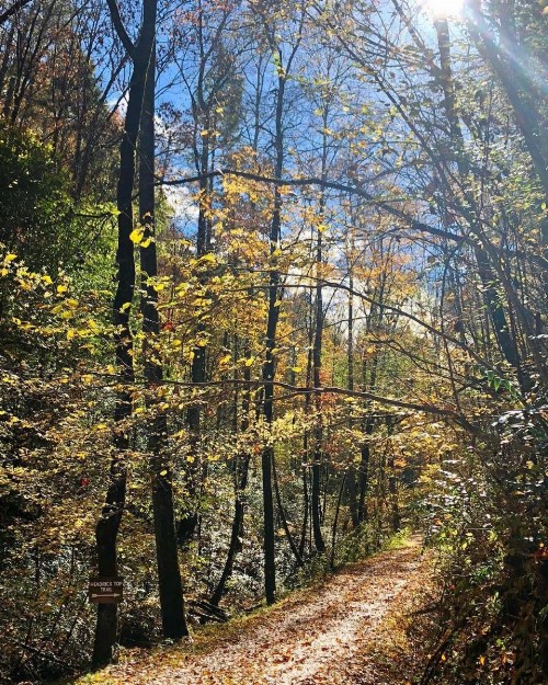 Frontier Mountain - image 21