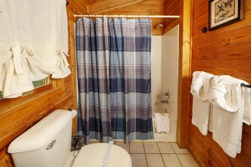 Smoky Mountain Rain - image 46
