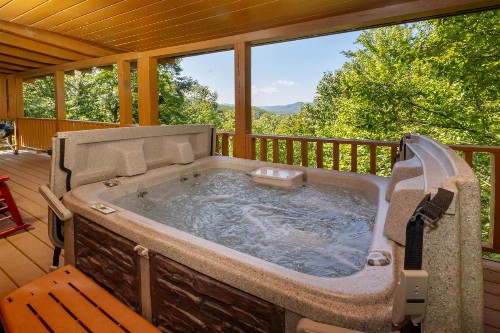Snowshoe Lodge - image 2