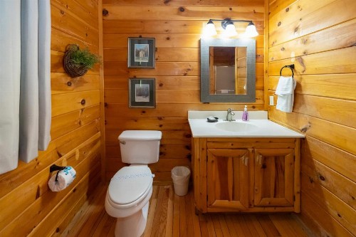 Snowshoe Lodge - image 27