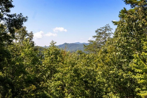 Snowshoe Lodge - image 31