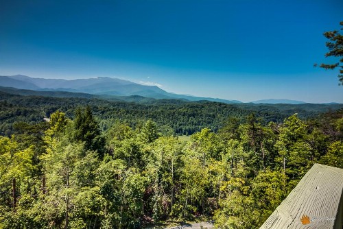 Leconte Mountain Lodge - image 11