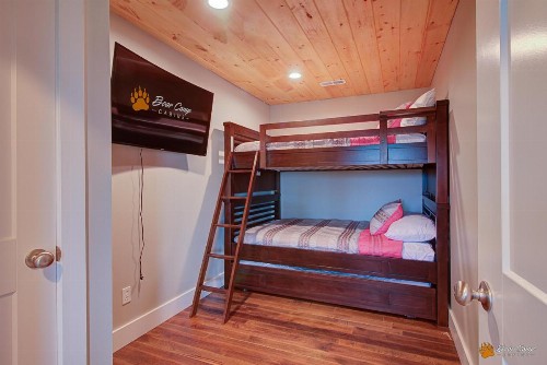 Leconte Mountain Lodge - image 12
