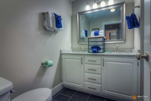 Leconte Mountain Lodge - image 22
