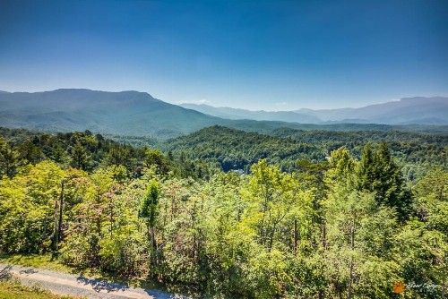 Leconte Mountain Lodge - image 23
