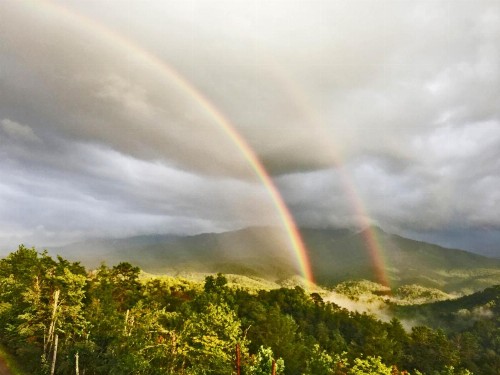 Leconte Mountain Lodge - image 39