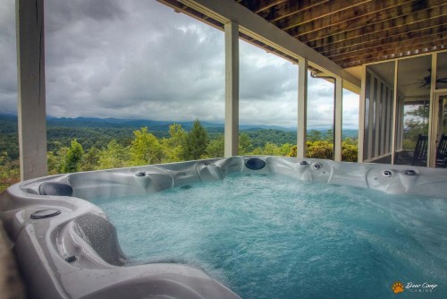 Leconte Mountain Lodge - image 41