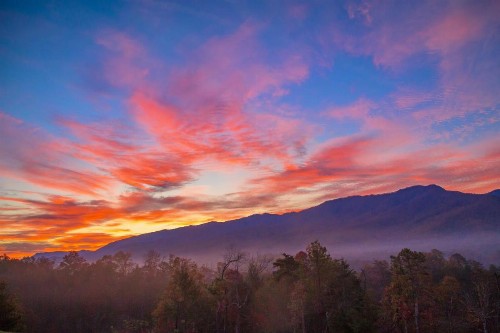 Leconte Mountain Lodge - image 46