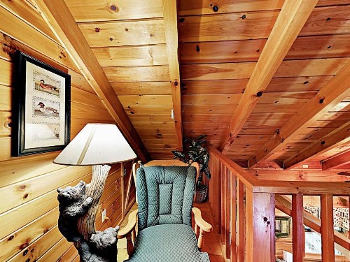 New Listing! Charming Cabin With Deck & Hot Tub Cabin - image 12