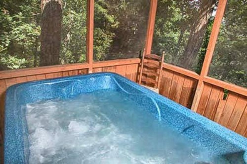 A Secluded Bearadise - image 8