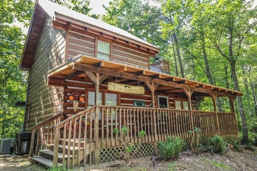A Beary Happy Place - image 5