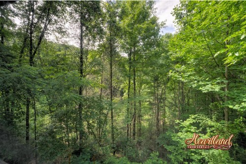 Southern Comfort - image 30