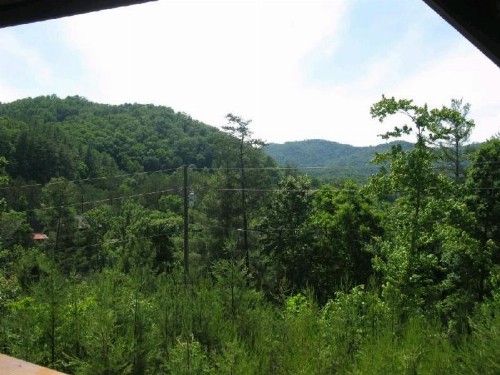 Mountain Breeze - image 2
