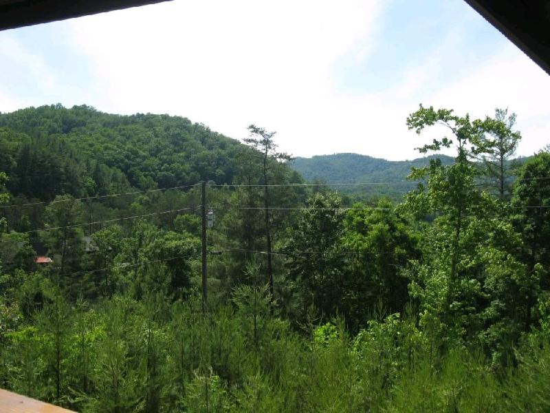 Mountain Breeze - image 2