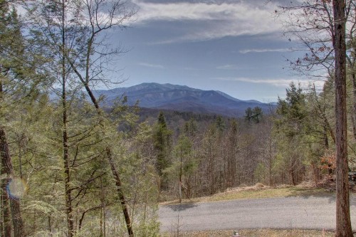 Amazing Views - image 21