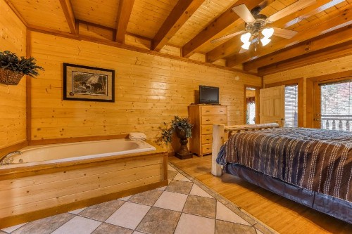 Mountain Theatre Lodge - image 6
