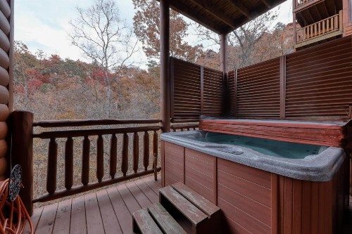 Mountain Theatre Lodge - image 9