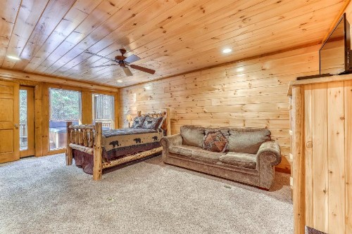 Mountain Cinema Lodge - image 9