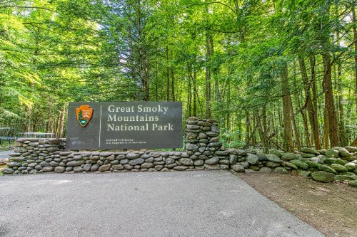 100 Mile View - image 9