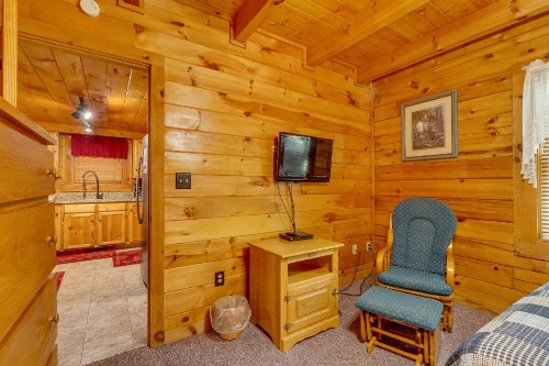 Beary Comfy - image 8