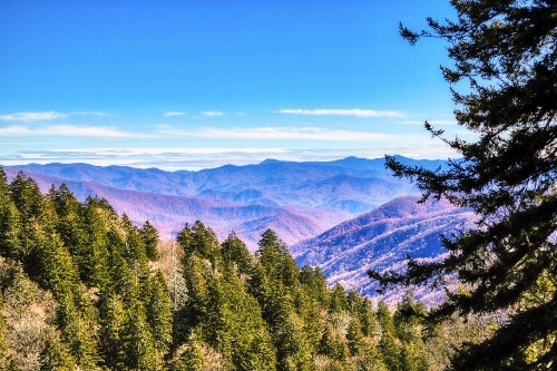 Peaceful View - image 6