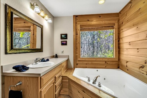 Smoky Mountain Views - image 11