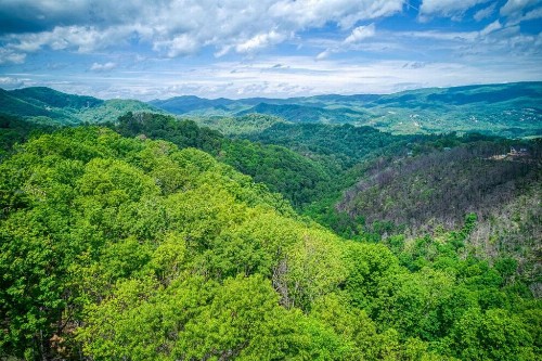 Smoky Mountain Views - image 16