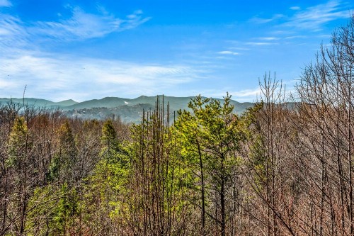 Scenic Ridge - image 46