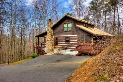 The Clubb House #331 by Aunt Bug's Cabin Rentals - image 1