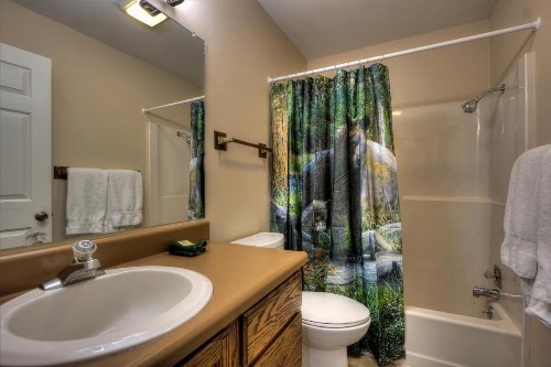 The Clubb House #331 by Aunt Bug's Cabin Rentals - image 12