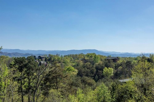 Eagles Landing Lodge - image 14
