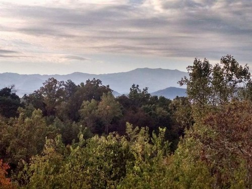 Eagles Landing Lodge - image 27