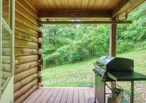 Country Lovin - image 8
